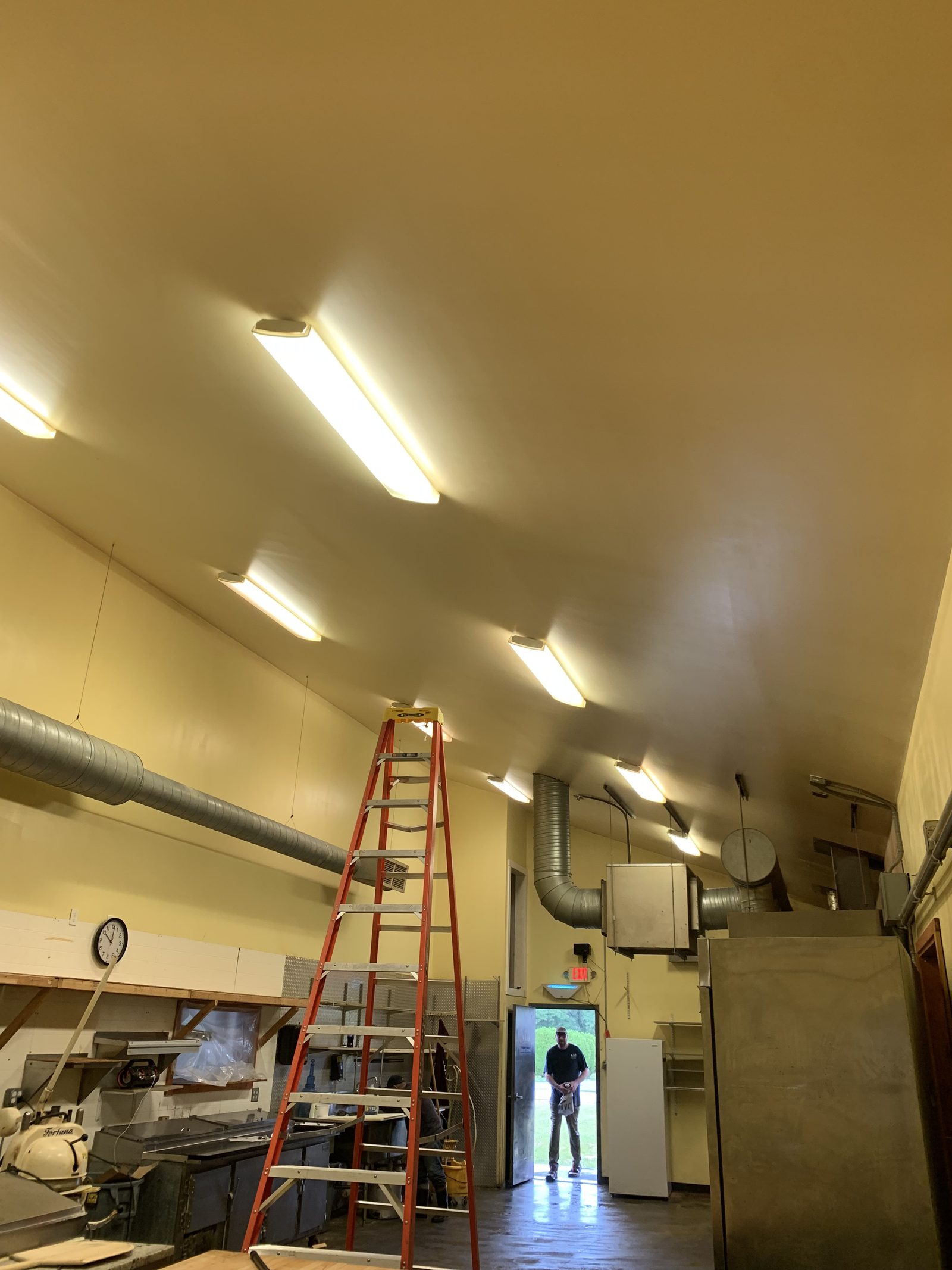 Ceilings & Walls before